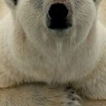 Article 1024243 013F7EAF00000578 325 233x423 150x150