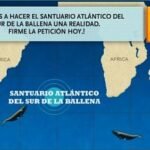 Ballenas2 150x150