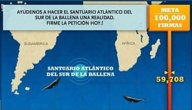 Ballenas2