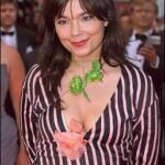 1230740415918bjork2dn 150x150