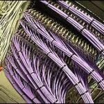 091011044310 sp server2 bbc 226x170 150x150