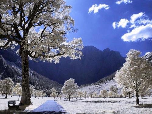 Finlandia helsinki navidad 3