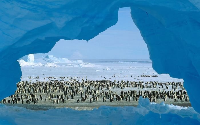Incroyables icebergs 106146