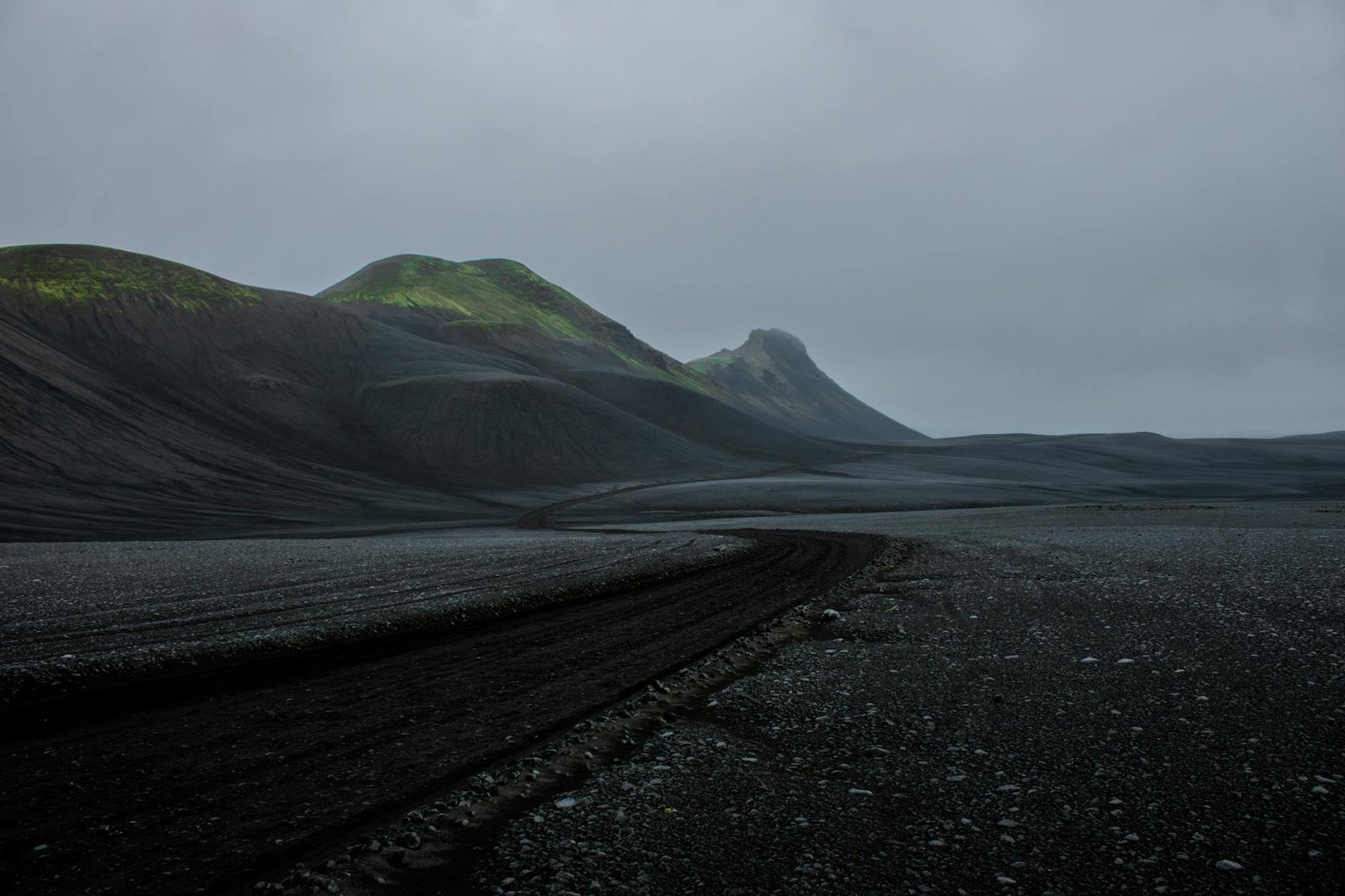 La almeja de Islandia