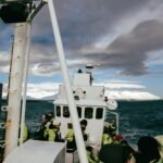 Whale watching en islandia todo sobre el avistamie 150x150