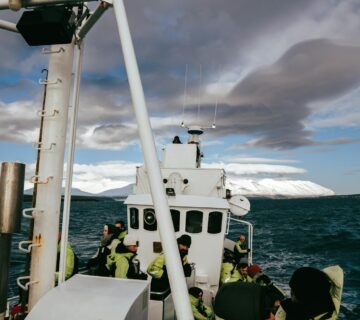 Whale watching en islandia todo sobre el avistamie 360x320