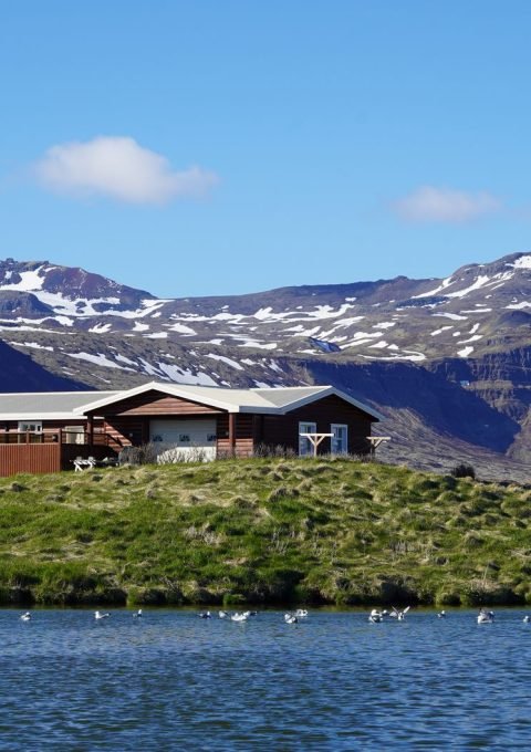 camping-en-islandia-en-agosto-lo-que-debes-saber-a